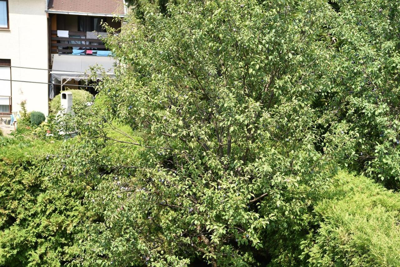 Apartman Jadranka Zapresic Bagian luar foto